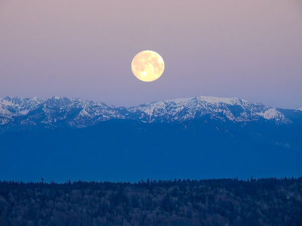 Full moon over purple mountains for Zodiaque Moon monthly horoscopes 