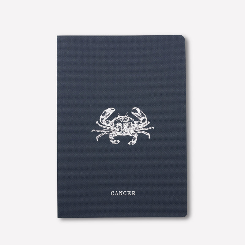Cancer A5 Journal / Notebook