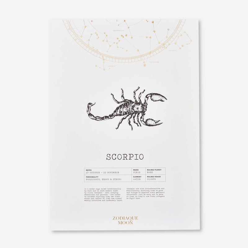 Scorpio A3 Art Print - Off White